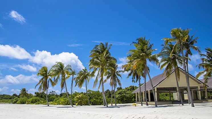 Hondaafushi Island Resort